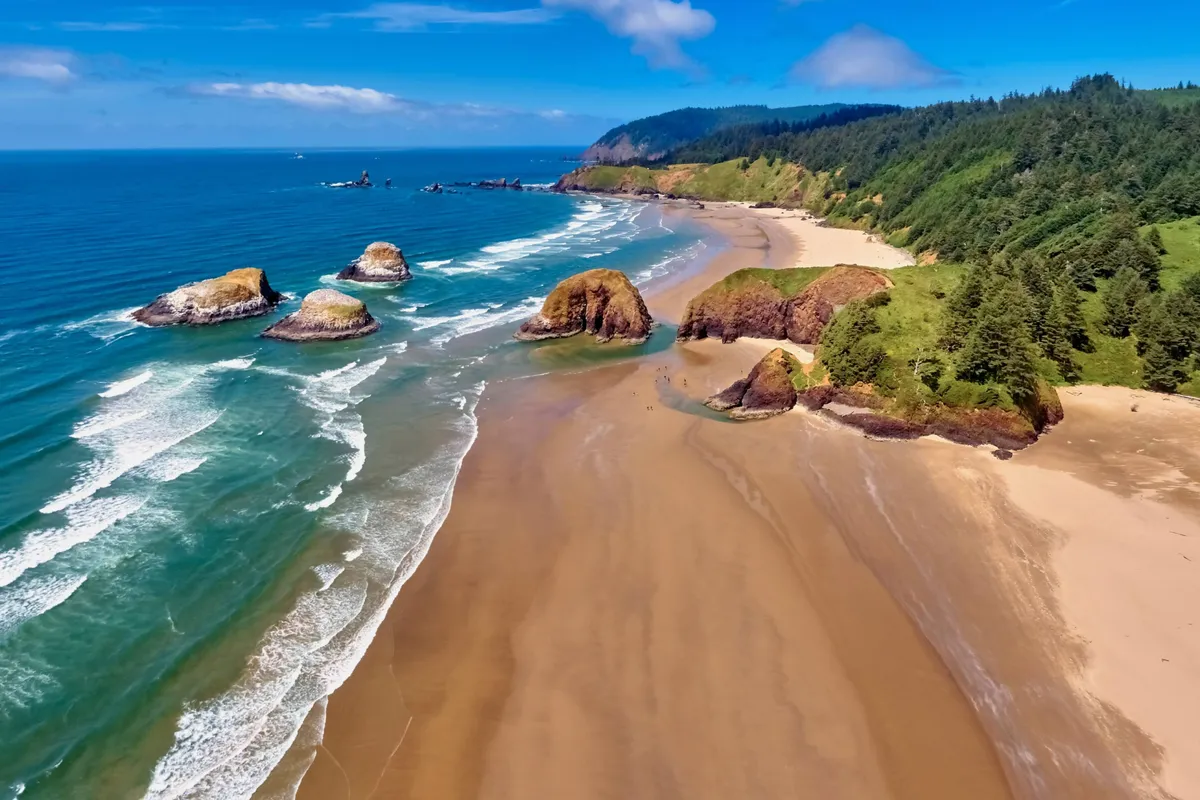 A serene beach scene featuring rugged rock formations, rolling ocean waves, and a neighboring forest. The setting provides ample room for group activities like picnicking and storytelling, reinforcing a sense of togetherness and connection to nature.
